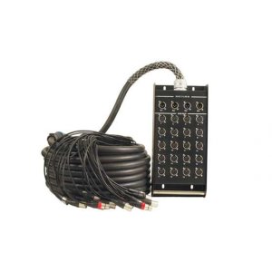 PEAV MI PV20/4 SNAKE 100FTXLR