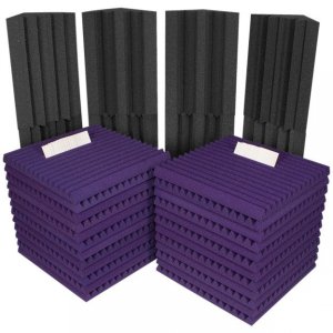 AURALEX PROJ2ROOMPUR