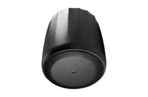 Control 60PS/T Pendant Subwoofer with Crossover