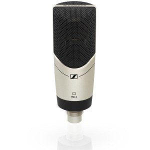 Large-diaphragm, side-address microphone with 24-c
