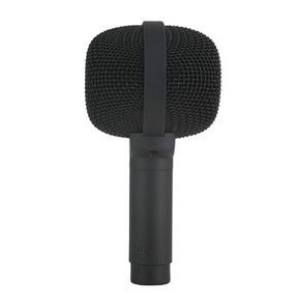 PEAV MI DM2 DYNAMIC MIC