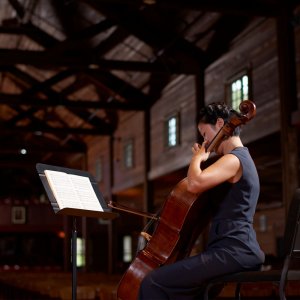 Orchestra Music Stand