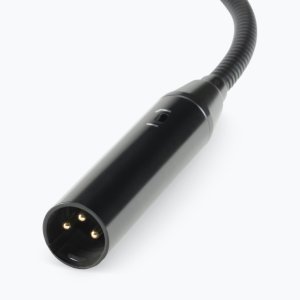Gooseneck Mic