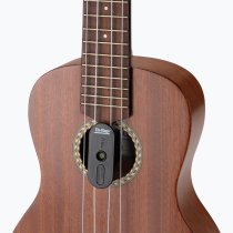 Ukulele Humidifier