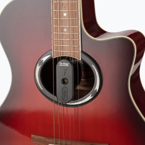 Guitar Humidifier
