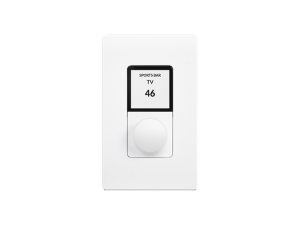 Blaze Wall-s1-w-us1g White Wall Controller