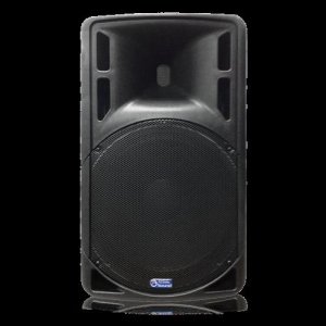 15″ 2-Way Passive Speaker