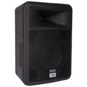 Impulse Series 12″ Weather Resistant Speaker