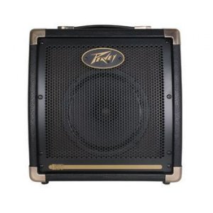 PEAV MI Ecoustic E20