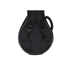 Mandolin Bag