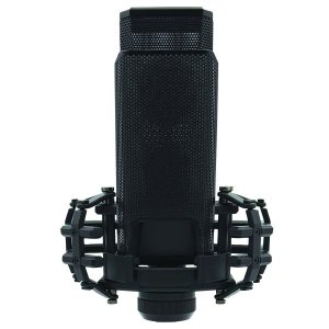 CAD E150 Large Diaphragm Condenser Microphone
